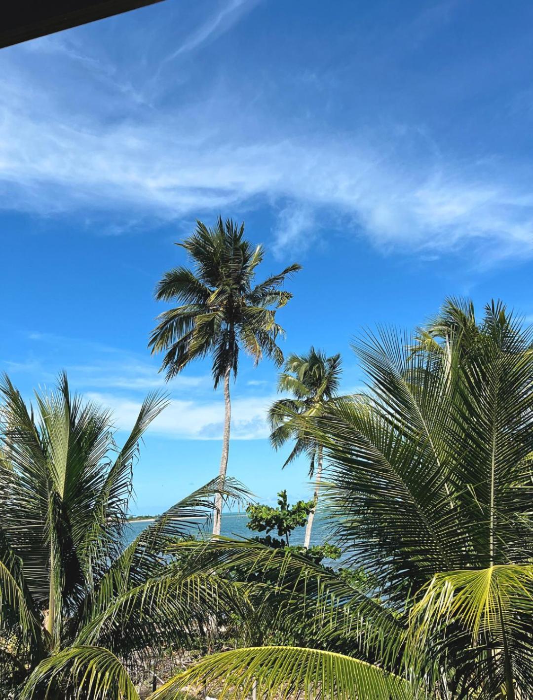 Suites Ventos E Velas Praia Porto de Pedras Bagian luar foto